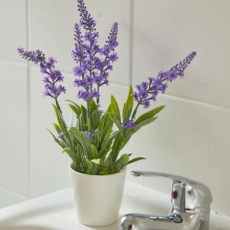 Appartement Alfama Light-filled Apartment, By Timecooler Lisboa