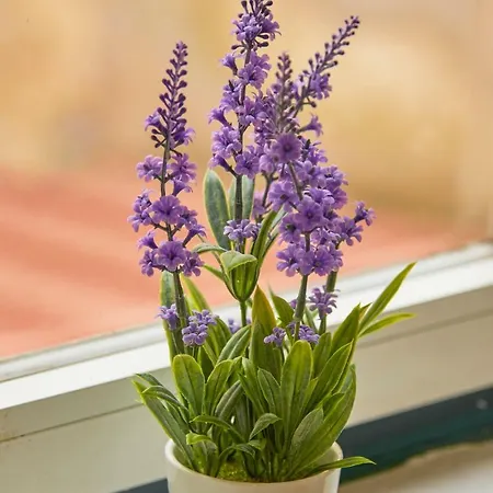 Alfama Light-filled Apartment, By Timecooler Lissabon