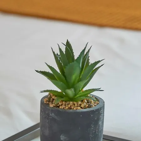 Alfama Light-filled Apartment, By Timecooler Apartmán Lisboa